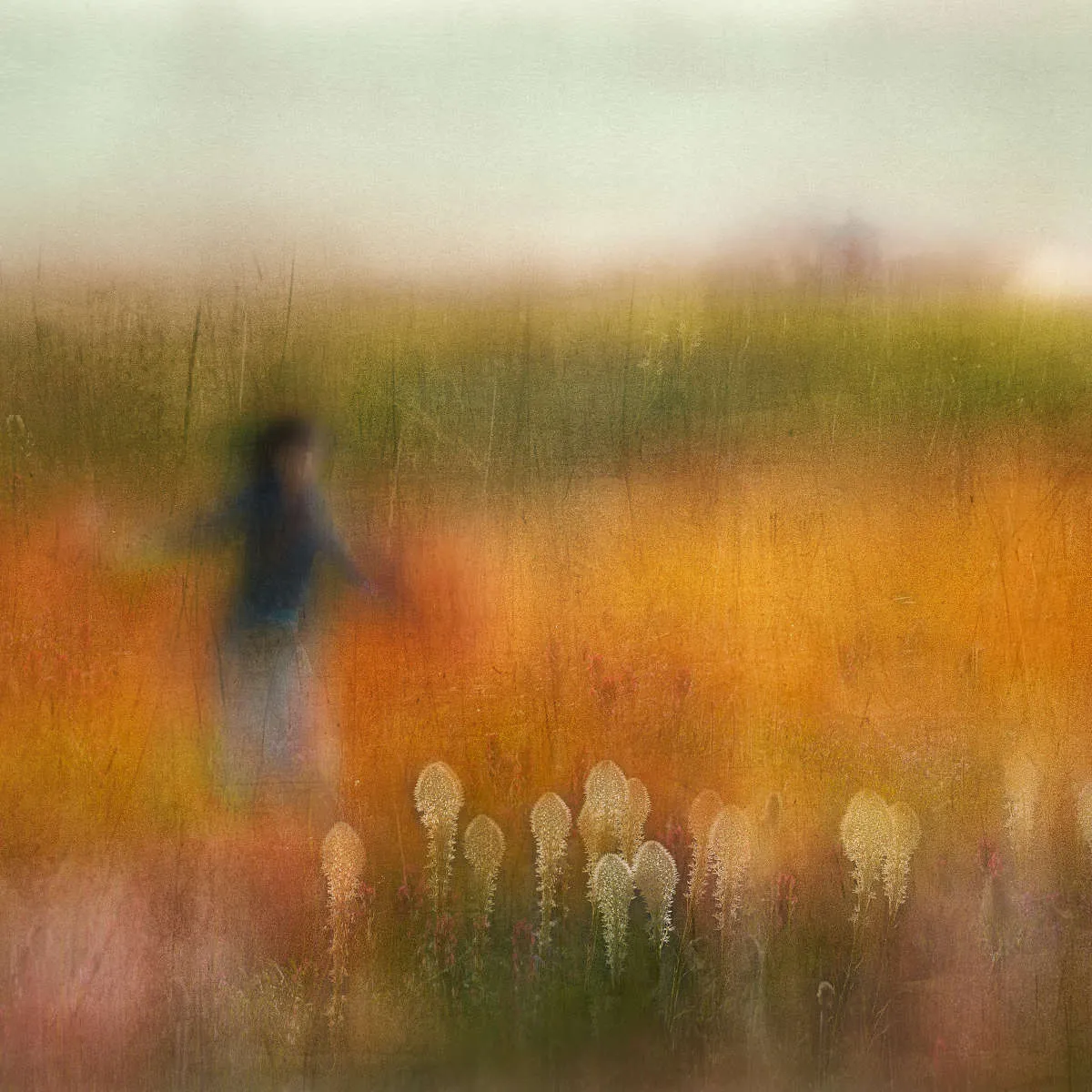 A Girl And Bear Grass Wall Art