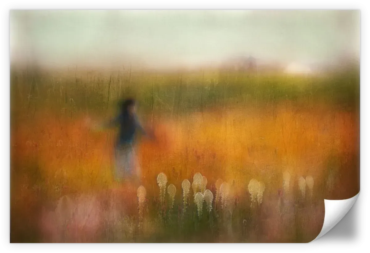 A Girl And Bear Grass Wall Art