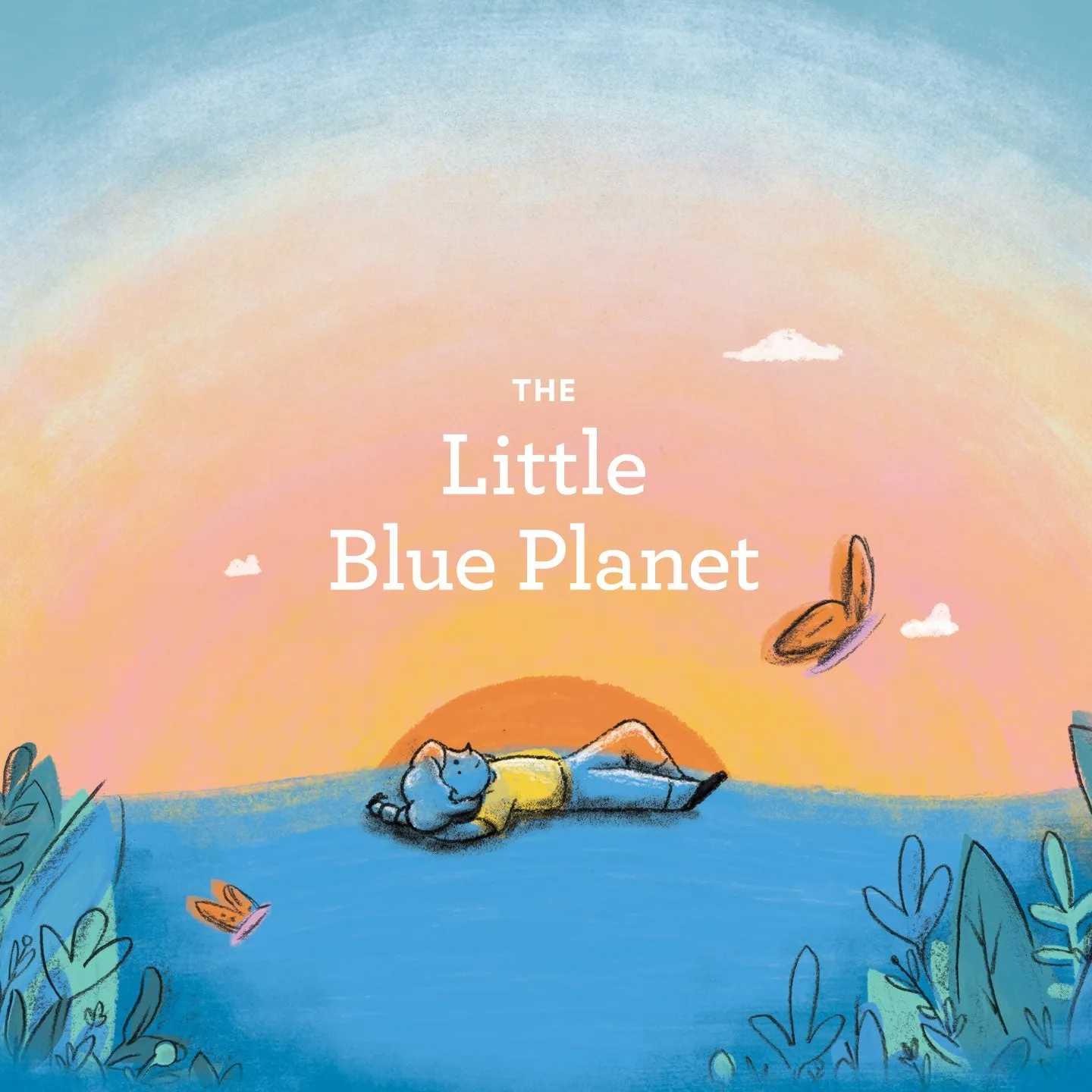 The Little Blue Planet Children's Book