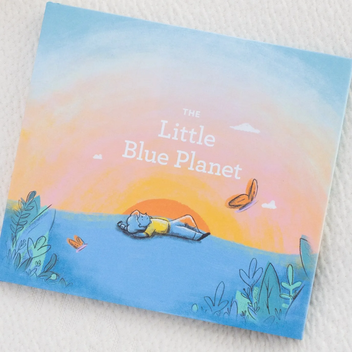 The Little Blue Planet Children's Book